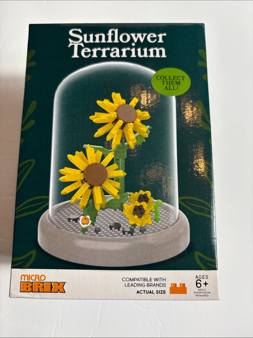 Sunflower Floral Terrarium Build Set - Dark Green and Yellow - Picture 3 of 5